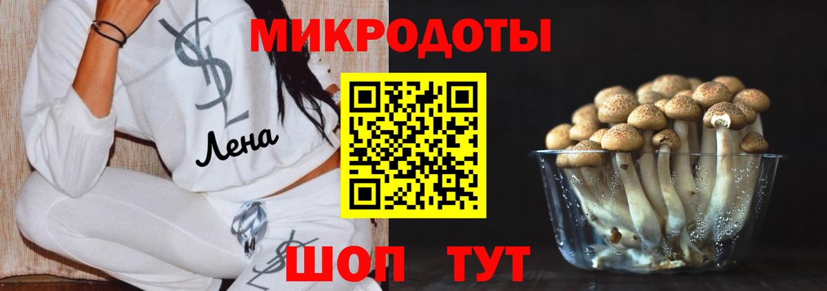Псилоцибиновые грибы Cubensis Алатырь